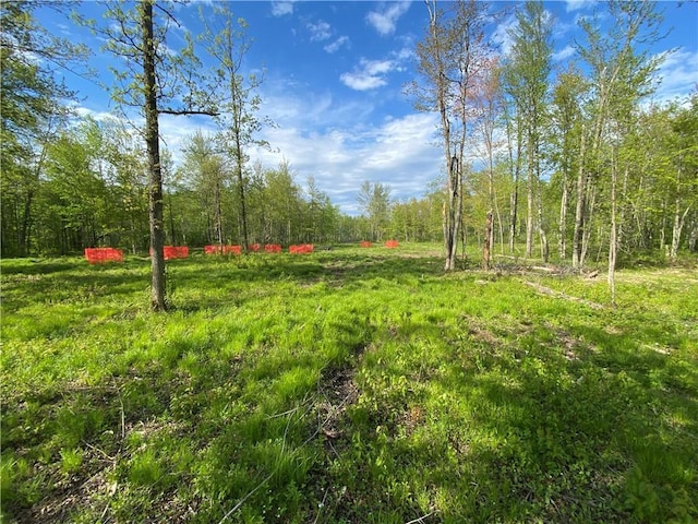 00 Bennor Rd, Bruce, WI 54819