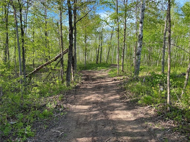 00 Bennor Rd, Bruce, WI 54819