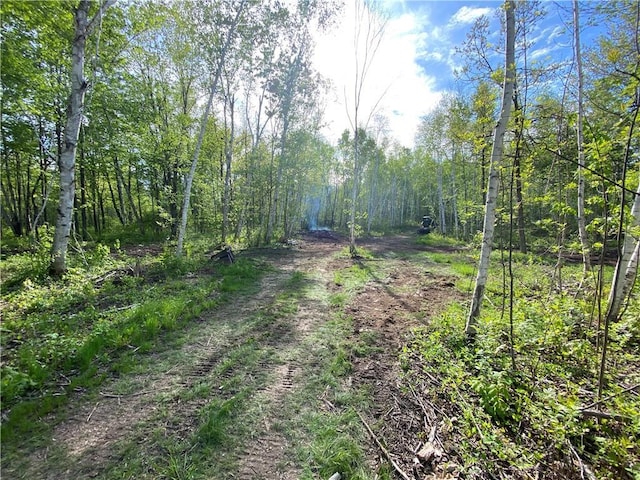 00 Bennor Rd, Bruce, WI 54819