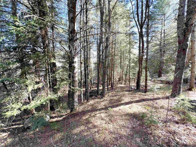 3185 S Faust Lake Rd, Rhinelander, WI 54501 - view of wooded area