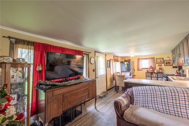 4620W Sweitzer Rd, Winter, WI 54896 - living area with wood finished floors, crown molding, and baseboards