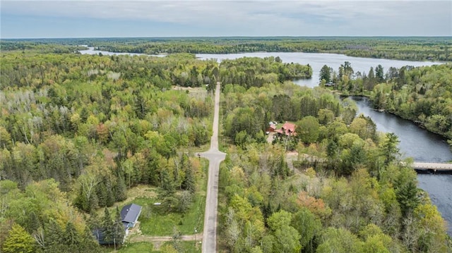 4620W Sweitzer Rd, Winter, WI 54896 - view of property location featuring a forest and a nearby body of water