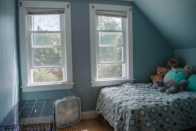202 Wisconsin St, Mauston, WI 53948 - bedroom with vaulted ceiling and wood finished floors