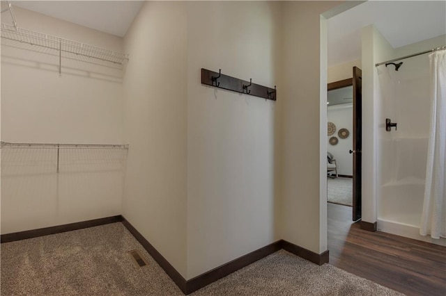 3557 114th St, Chippewa Falls, WI 54729 - spacious closet with carpet floors