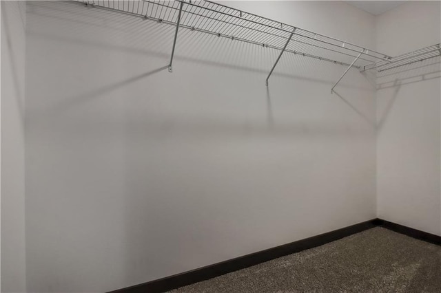 3557 114th St, Chippewa Falls, WI 54729 - view of walk in closet