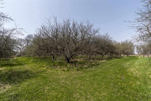 2608 County Road T, Sun Prairie, WI 53590 - view of yard featuring a view of rural / pastoral area
