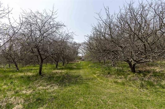 2608 County Road T, Sun Prairie, WI 53590 - view of nature