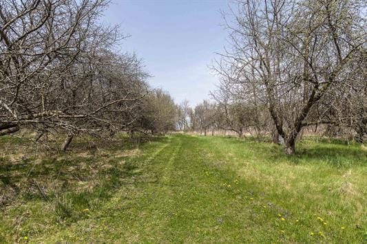 2608 County Road T, Sun Prairie, WI 53590 - view of yard
