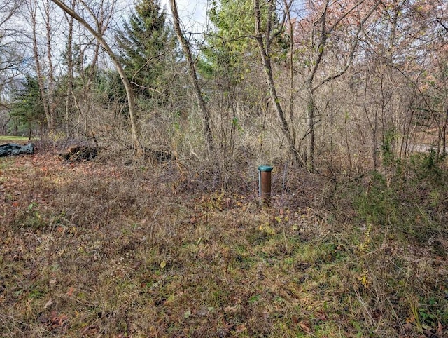 LOTS34-37 Effigy Mounds Ln, Muscoda, WI 53573