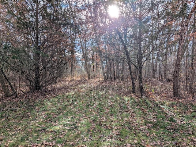 LOTS34-37 Effigy Mounds Ln, Muscoda, WI 53573