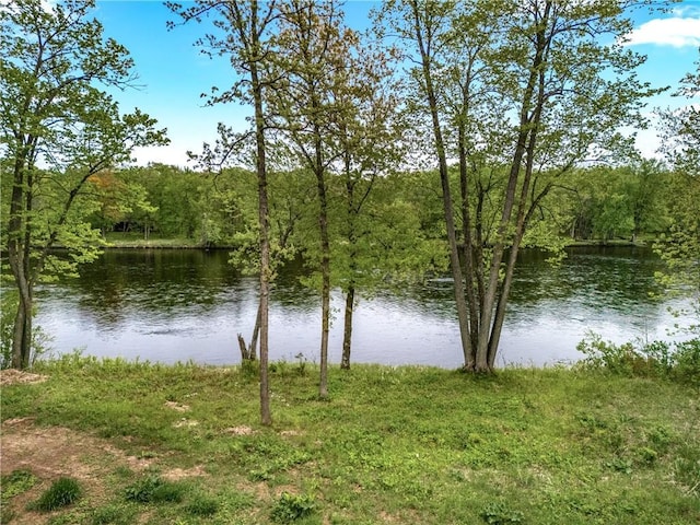 N1186 County Rd E, Bruce, WI 54819
