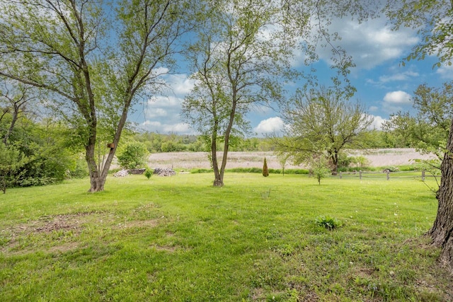 11934 187th Ave, Bristol, WI 53104 - view of yard