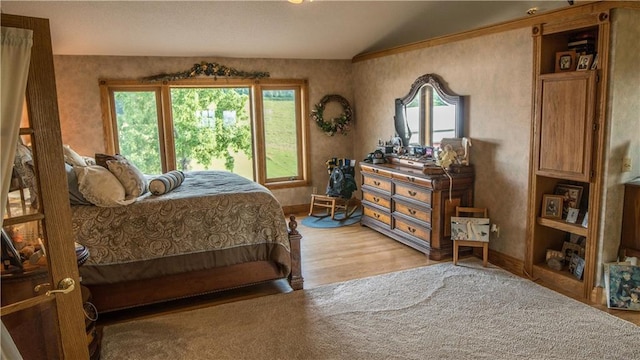 S523 Cole Rd, Mondovi, WI 54755 - bedroom featuring multiple windows, light wood-style floors, baseboards, vaulted ceiling, and ornamental molding