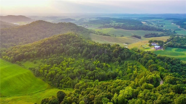 S523 Cole Rd, Mondovi, WI 54755 - drone / aerial view of a heavily wooded area and mountains