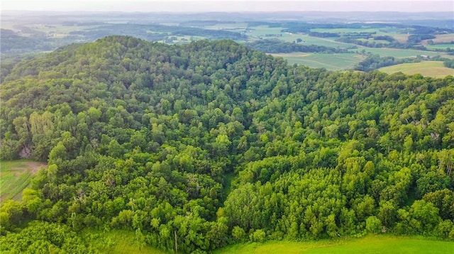 S523 Cole Rd, Mondovi, WI 54755 - drone / aerial view of a forest