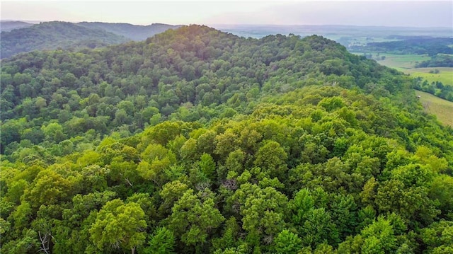 S523 Cole Rd, Mondovi, WI 54755 - view of mountain backdrop with a heavily wooded area
