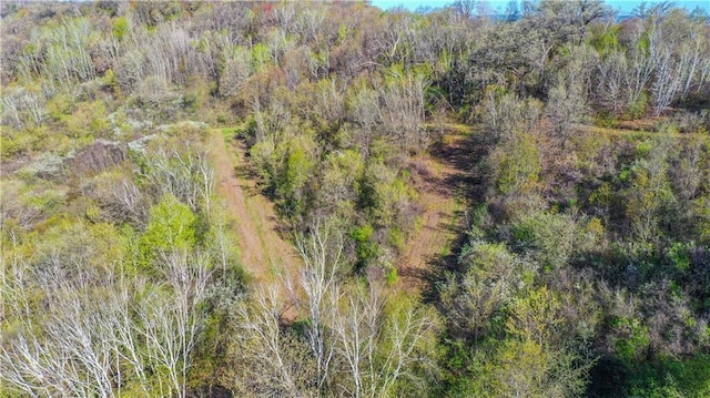 S523 Cole Rd, Mondovi, WI 54755 - bird's eye view of a heavily wooded area