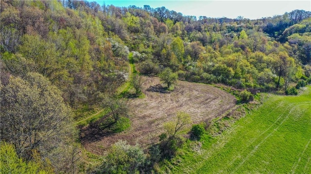 S523 Cole Rd, Mondovi, WI 54755 - drone / aerial view of a heavily wooded area