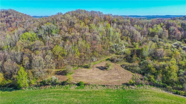 S523 Cole Rd, Mondovi, WI 54755 - view of mountain backdrop featuring a heavily wooded area