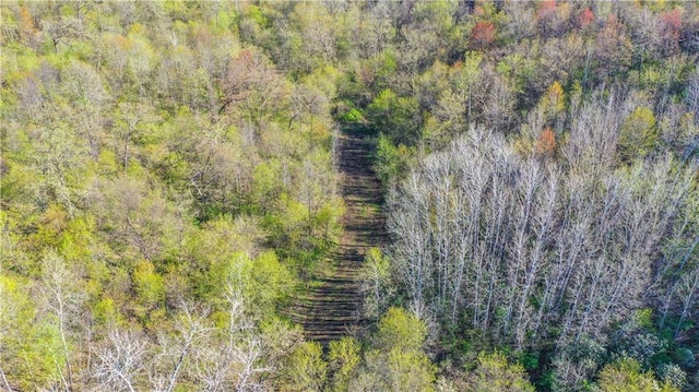 S523 Cole Rd, Mondovi, WI 54755 - bird's eye view