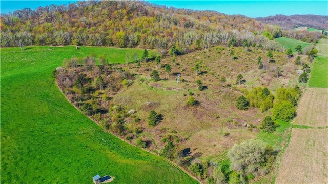 S523 Cole Rd, Mondovi, WI 54755 - aerial view of property's location with mountains