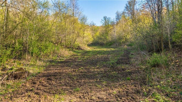 S523 Cole Rd, Mondovi, WI 54755 - view of woods