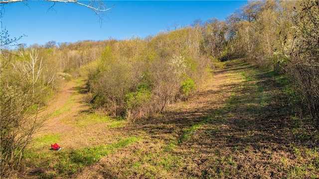 S523 Cole Rd, Mondovi, WI 54755 - view of nature