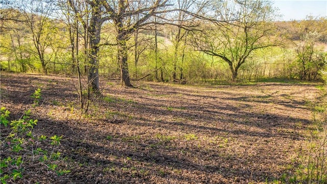 S523 Cole Rd, Mondovi, WI 54755 - view of yard with a wooded view
