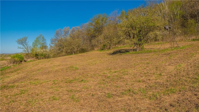 S523 Cole Rd, Mondovi, WI 54755 - view of nature
