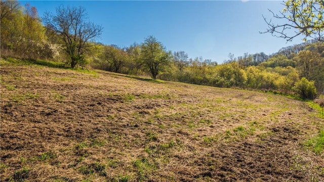 S523 Cole Rd, Mondovi, WI 54755 - view of woods