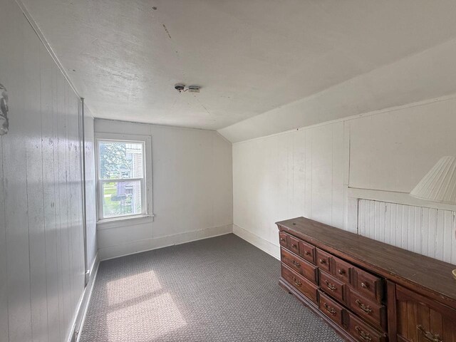 312 W 4th St, Marshfield, WI 54449 - bonus room featuring dark colored carpet, vaulted ceiling, baseboards, and wooden walls
