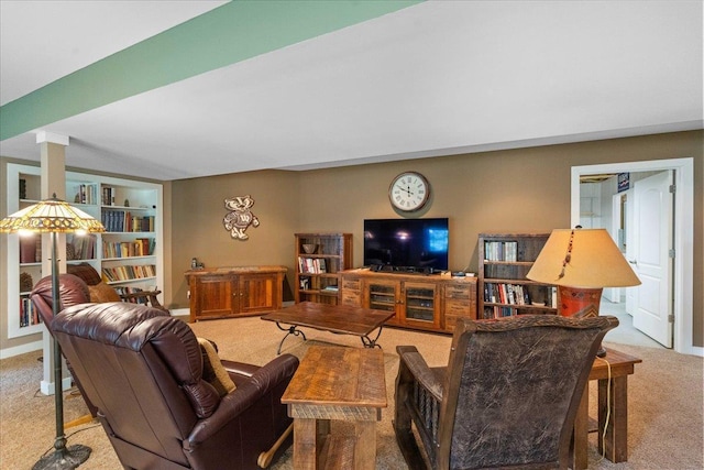 1814 Masters Ln, Madison, WI 53719 - living area with carpet and built in shelves