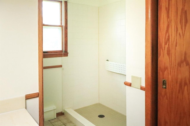 1007 Franklin St, Sauk City, WI 53583 - bathroom featuring a tile shower