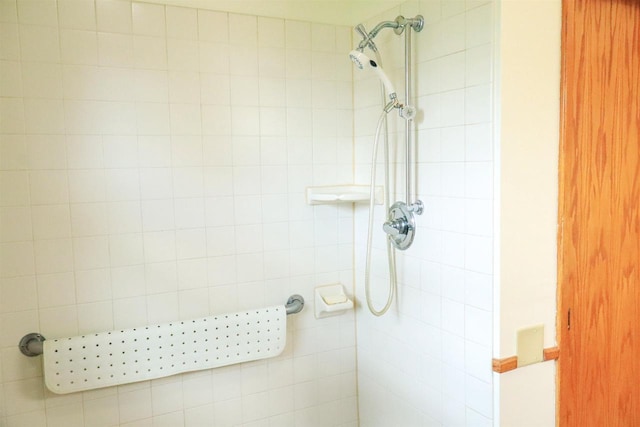 1007 Franklin St, Sauk City, WI 53583 - full bath with tiled shower