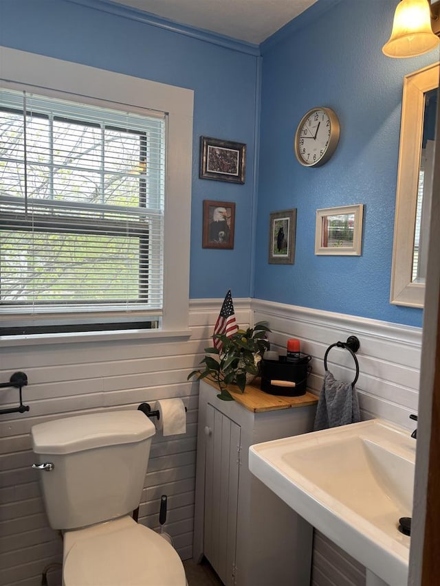 307 E Washington St, Crandon, WI 54520 - half bath with a sink, toilet, and a wainscoted wall
