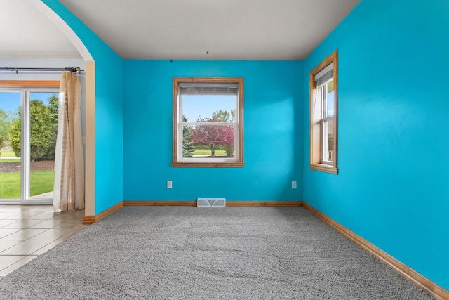 1126 Princess Dove Cir, De Pere, WI 54115 - carpeted empty room featuring healthy amount of natural light, arched walkways, and baseboards