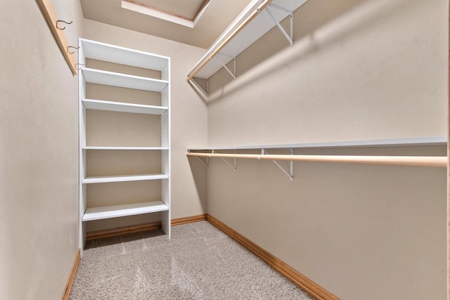1126 Princess Dove Cir, De Pere, WI 54115 - view of walk in closet