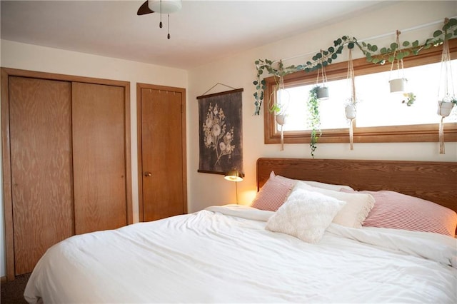 2702 Clark Pl, Eau Claire, WI 54701 - bedroom with two closets and a ceiling fan
