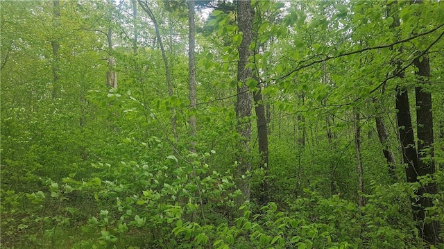 LOT3 Buckeye Ln, Stone Lake, WI 54876