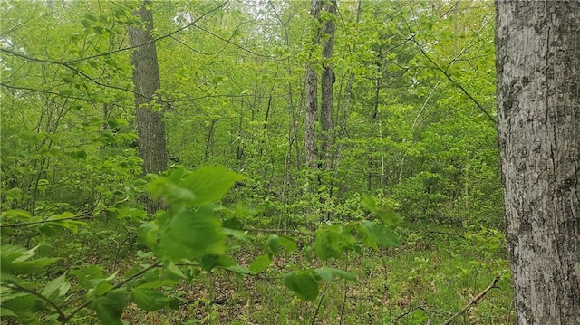 LOT3 Buckeye Ln, Stone Lake, WI 54876