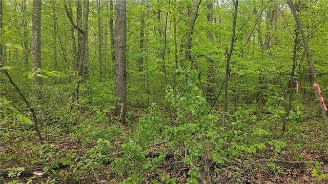 LOT3 Buckeye Ln, Stone Lake, WI 54876