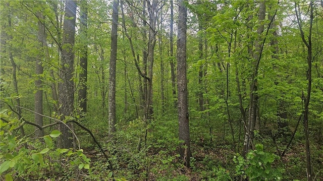LOT3 Buckeye Ln, Stone Lake, WI 54876