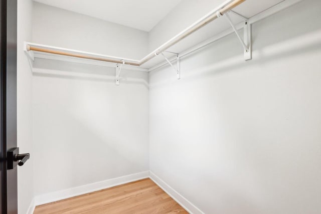 6020 Briarclift Ct, Greendale, WI 53129 - spacious closet with light wood-type flooring