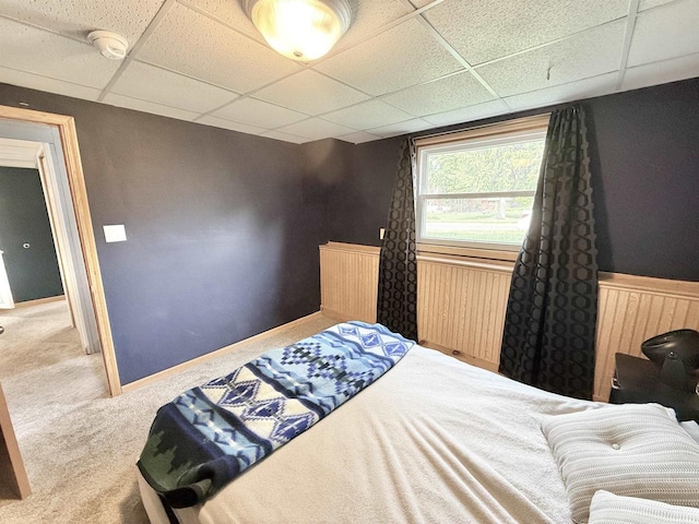 519 Rogers St, Milton, WI 53563 - carpeted bedroom with a drop ceiling and wainscoting