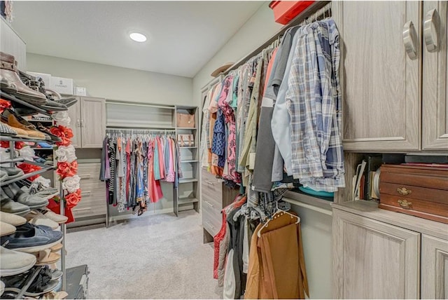 17690 Clayton Ave, Rosemount, MN 55068 - walk in closet with carpet floors