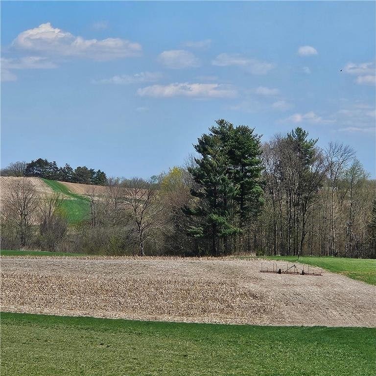 TBD 870th Ave, Spring Valley, WI 54767