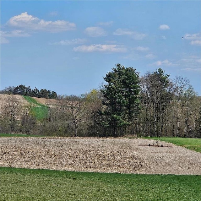 TBD 870th Ave, Spring Valley, WI 54767