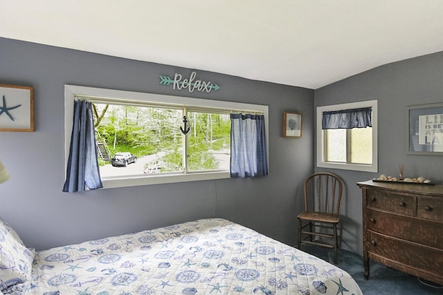 N7428 County Road J, Plymouth, WI 53073 - carpeted bedroom featuring multiple windows and vaulted ceiling