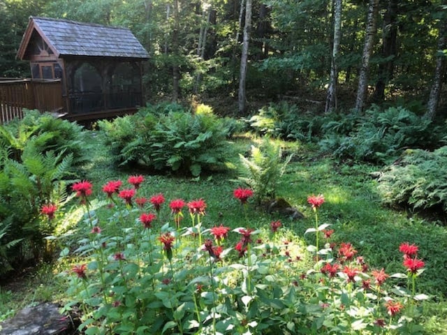 3610 N Shore Rd, La Pointe, WI 54850 - view of yard with a wooded view