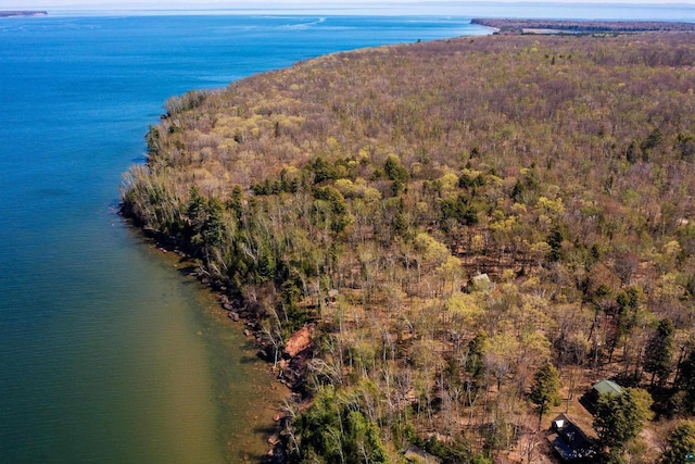 3610 N Shore Rd, La Pointe, WI 54850 - aerial view of property and surrounding area with a heavily wooded area and a large body of water